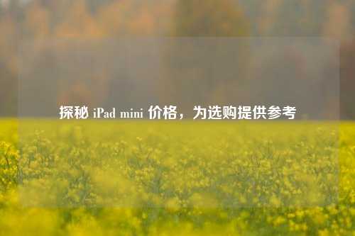 探秘 iPad mini 价格,为选购提供参考