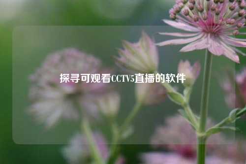 探寻可观看CCTV5直播的软件