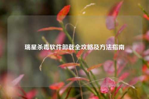瑞星杀毒软件卸载全攻略及 指南