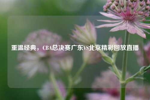 重温经典,CBA总决赛广东VS北京精彩回放直播