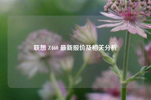 联想 Z460 最新报价及相关分析