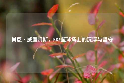 肖恩·威廉姆斯,NBA篮球场上的沉浮与坚守