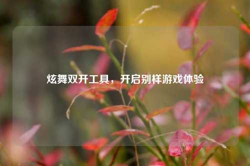 炫舞双开工具,开启别样游戏体验