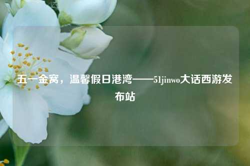 五一金窝,温馨假日港湾——51jinwo大话西游发布站
