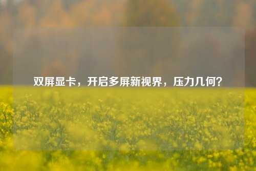双屏显卡,开启多屏新视界,压力几何?