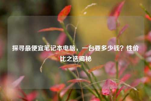 探寻更便宜笔记本电脑,一台要多少钱?性价比之选揭秘