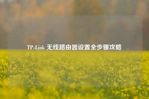 TP-Link 无线路由器设置全步骤攻略