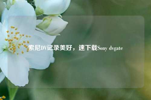 索尼DV记录美好,速下载Sony dvgate