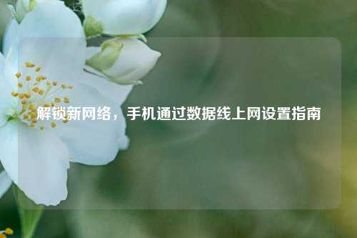 解锁新 ,手机通过数据线上网设置指南