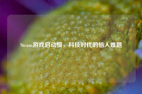 Steam游戏启动慢,科技时代的恼人难题