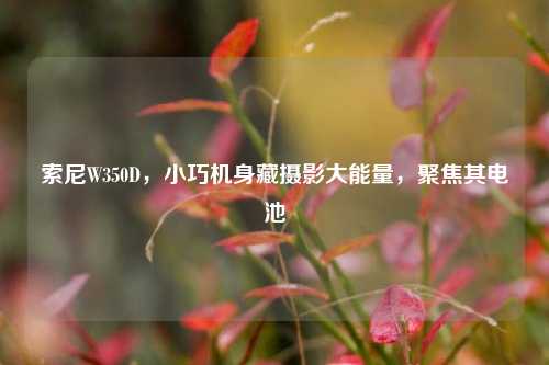 索尼W350D,小巧机身藏摄影大能量,聚焦其电池