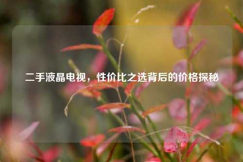 二手液晶电视,性价比之选背后的价格探秘