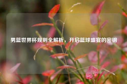 男篮世界杯规则全解析,开启篮球盛宴的密钥