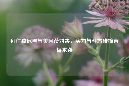 拜仁慕尼黑与美因茨对决,实力与斗志碰撞直播来袭