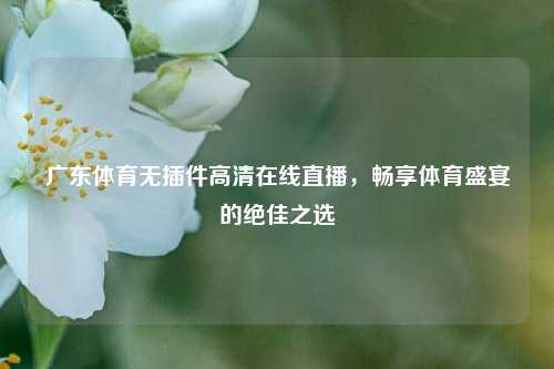 广东体育无插件 直播,畅享体育盛宴的绝佳之选