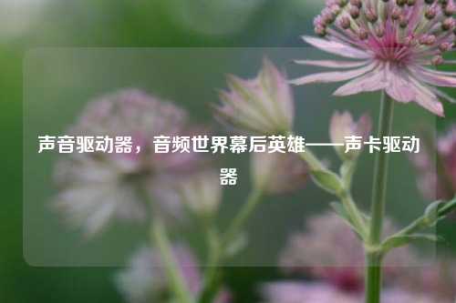 声音驱动器,音频世界幕后英雄——声卡驱动器