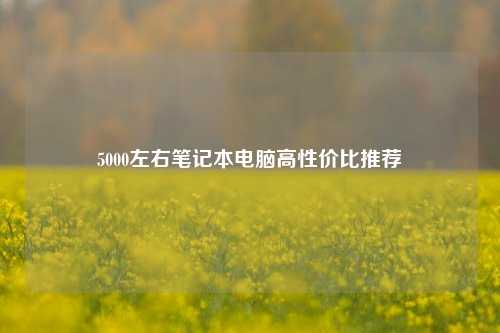 5000左右笔记本电脑高性价比推荐