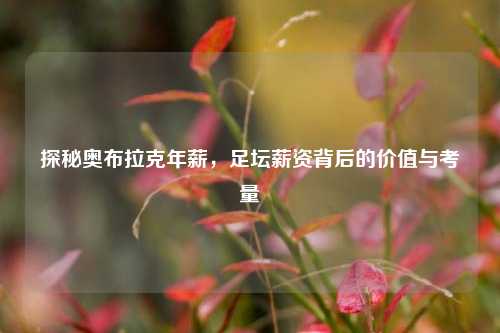 探秘奥布拉克年薪,足坛薪资背后的价值与考量
