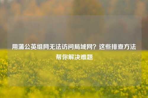用蒲公英组网无法访问局域网?这些排查 帮你解决难题