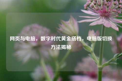 网页与电脑,数字时代黄金搭档,电脑版切换 揭秘
