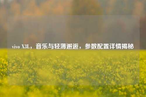 vivo X3L,音乐与轻薄邂逅,参数配置详情揭秘