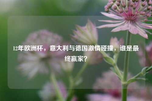 12年欧洲杯,意大利与德国 碰撞,谁是最终赢家?