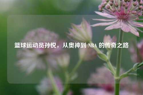 篮球运动员孙悦,从奥神到 NBA 的传奇之路