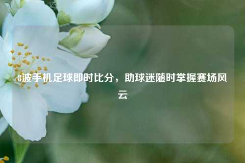 8波手机足球即时比分,助球迷随时掌握赛场风云