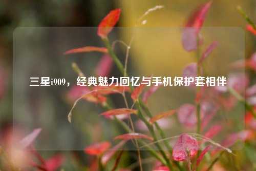 三星i909,经典魅力回忆与手机保护套相伴