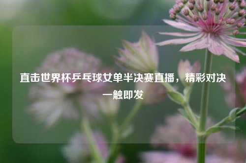 直击世界杯乒乓球女单半决赛直播,精彩对决一触即发