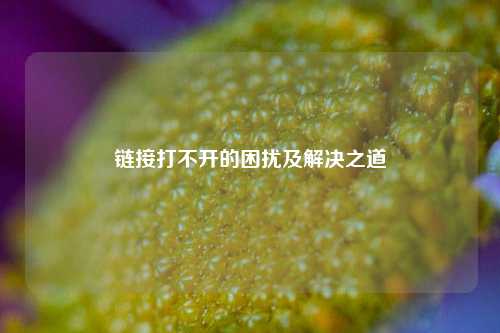 链接打不开的困扰及解决之道