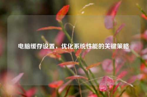 电脑缓存设置,优化系统性能的关键策略