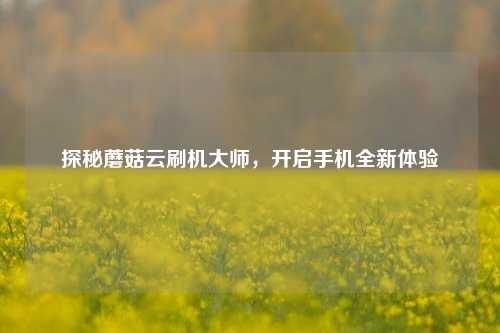 探秘蘑菇云刷机大师,开启手机全新体验