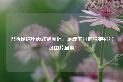 巴西足球甲级联赛图标,足球王国的独特符号及图片呈现