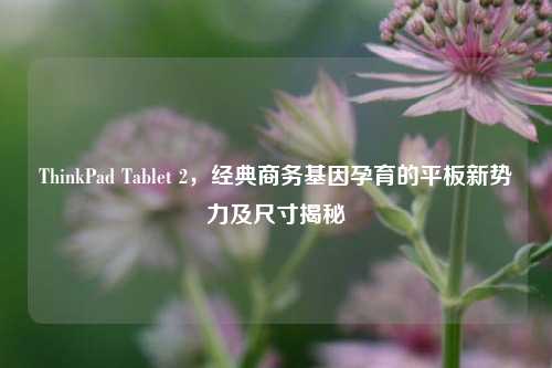ThinkPad Tablet 2,经典商务基因孕育的平板新势力及尺寸揭秘