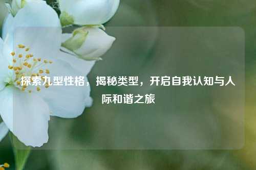 探索九型性格,揭秘类型,开启自我认知与人际和谐之旅
