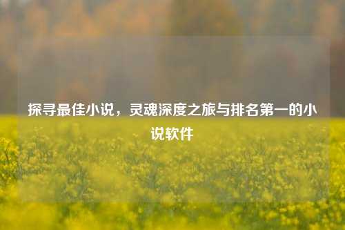 探寻更佳小说,灵魂深度之旅与排名之一的小说软件