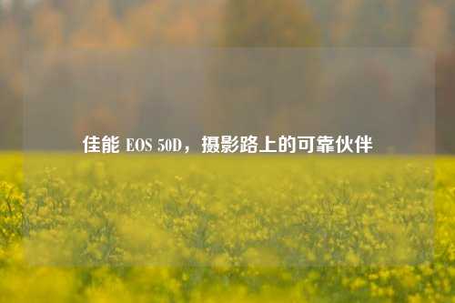 佳能 EOS 50D,摄影路上的可靠伙伴