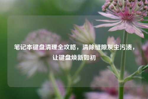笔记本键盘清理全攻略,清除缝隙灰尘污渍,让键盘焕新如初
