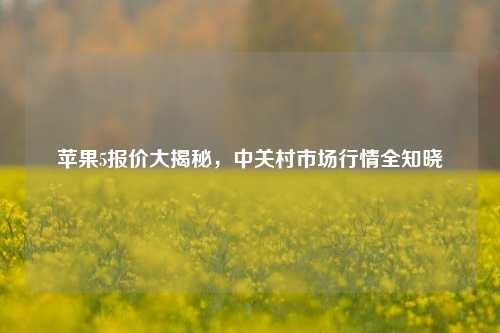 苹果5报价大揭秘,中关村市场行情全知晓
