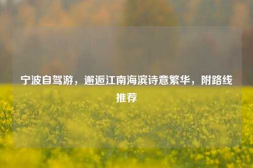 宁波自驾游,邂逅江南海滨诗意繁华,附路线推荐