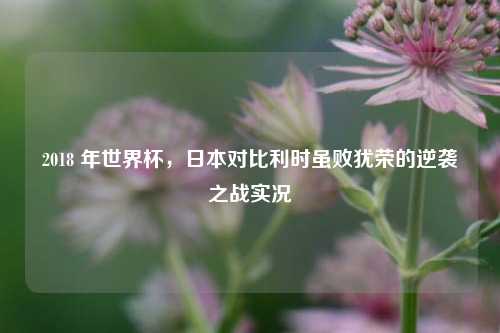 2018 年世界杯,日本对比利时虽败犹荣的逆袭之战实况