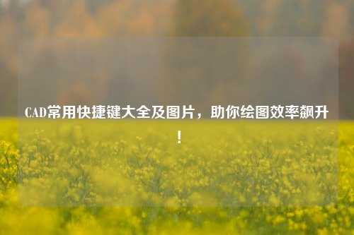 CAD常用快捷键大全及图片,助你绘图效率飙升!