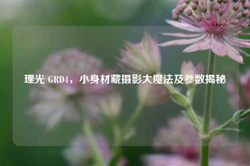 理光 GRD4,小身材藏摄影大魔法及参数揭秘