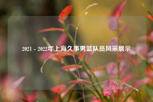 2021 - 2022年上海久事男篮队员风采展示