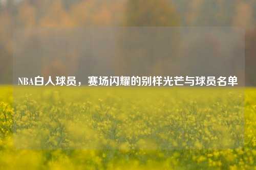 NBA白人球员,赛场闪耀的别样光芒与球员名单