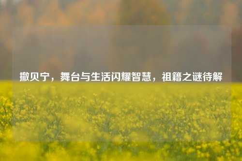 撤贝宁,舞台与生活闪耀智慧,祖籍之谜待解