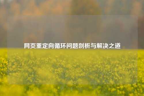 网页重定向循环问题剖析与解决之道