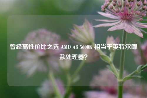 曾经高性价比之选 AMD A8 5600K 相当于英特尔哪款处理器?