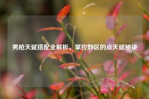 男枪天赋搭配全解析,掌控野区的点天赋秘诀